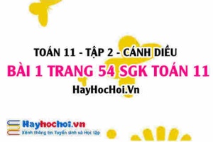Bài 1 trang 54 Toán 11 tập 2 Cánh Diều